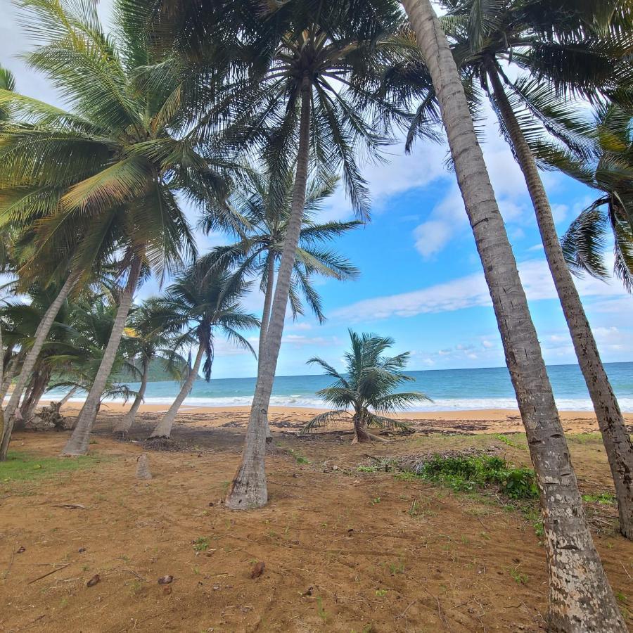Hotel Parador Maunacaribe - Maunabo Exteriér fotografie